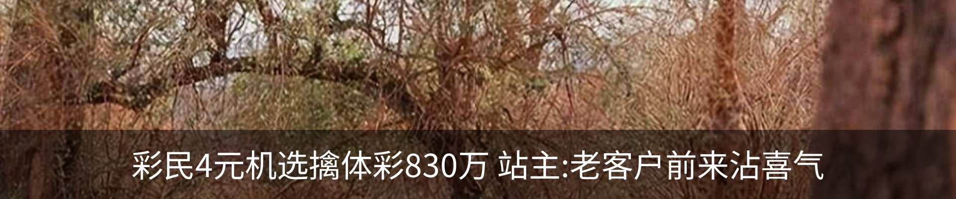 行业资讯
